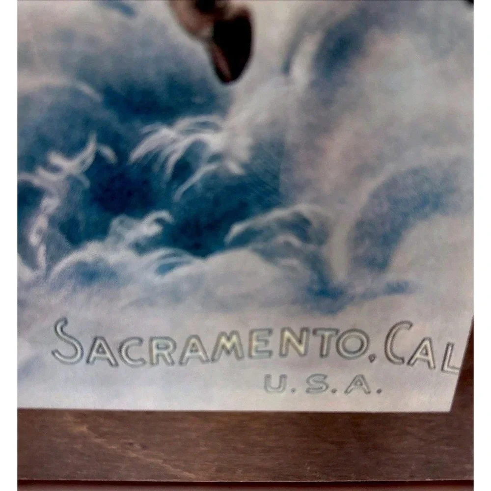 Vintage Buffalo Brewing Co Sacramento‎ CA Wooden Sign Plaque Buffalo Lady 1970s